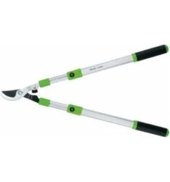 Freund Victoria Astschere 10-30 TA