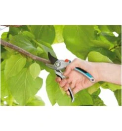 Gardena Alu-Gartenschere B/L -Feco Garten Geschaft gartenschere universalschere 340544 czm