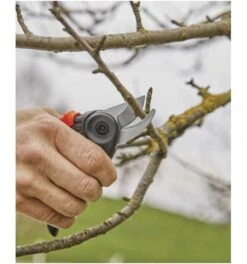 Gardena GartenschereExpertCutAktion -Feco Garten Geschaft gartenschere universalschere 784393 czm