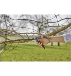 Gardena GartenschereExpertCutAktion -Feco Garten Geschaft gartenschere universalschere 784395 czm