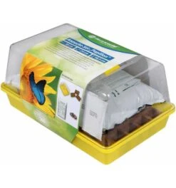Floraworld Anzucht-Set "PAPILLON" Comfort