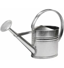 Gießkanne 10 L Silber MET Verz.