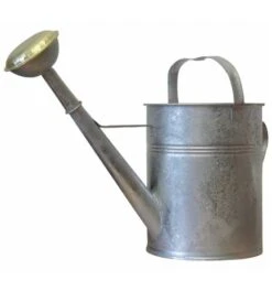 Profibau Gießkanne 10 L Aus Verz. Blech