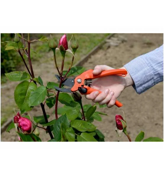 Feco Garten Geschaft -Feco Garten Geschaft rebschere 975199 czm