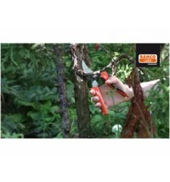 Bahco ERGO 20-mm-Bypass-Rebscheren Mit Rollgriff, 205 mm -Feco Garten Geschaft rebschere 975206 czm