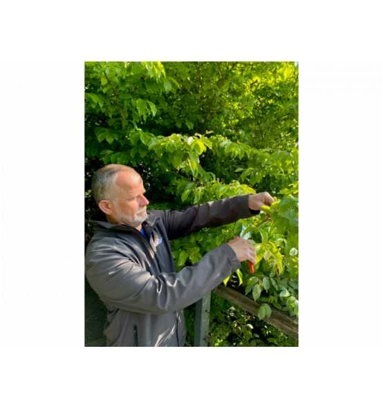 Bahco 25-mm-Bypass-Rebschere Mit Handgriff Aus Verbundwerkstoff Mit Soft-Grip Und Schmalem Schneidkopf, 230 mm 4 Bahco 25-mm-Bypass-Rebschere Mit Handgriff Aus Verbundwerkstoff Mit Soft-Grip Und Schmalem Schneidkopf, 230 mm – Bild 2