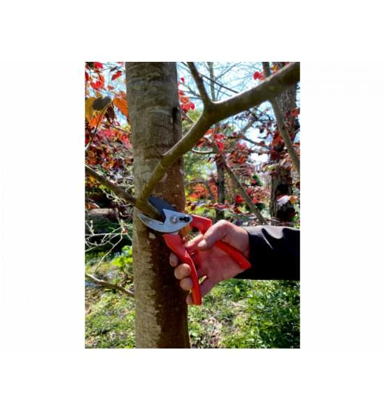 Bahco 20-mm-Amboss-Rebschere Mit Gestanztem/gepresstem Stahlgriff, 220 mm 4 Bahco 20-mm-Amboss-Rebschere Mit Gestanztem/gepresstem Stahlgriff, 220 mm – Bild 2